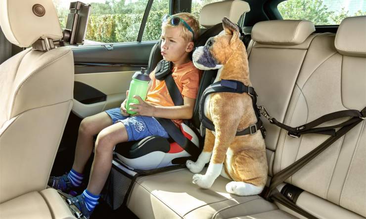 thumb_OCTAVIA_COMFORT_UTILITY_child_seat_dog_belt