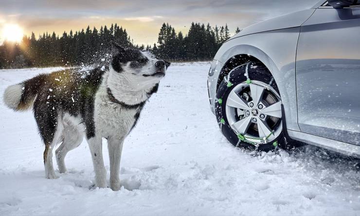 thumb_OCTAVIA_WHEELS_snow_chain_dog